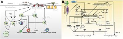 Network Pharmacology and Molecular Docking Analysis on Molecular Mechanism of Qingzi Zhitong Decoction in the Treatment of Ulcerative Colitis